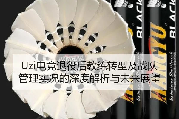 Uzi电竞退役后教练转型及战队管理实况的深度解析与未来展望